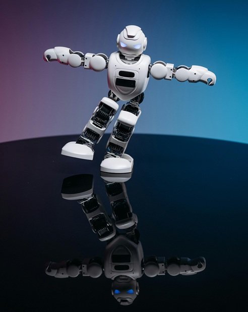 TS developers AI & Robotics